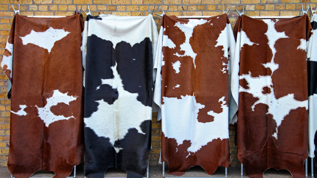 Top-grade cowhide leather: Best Option?